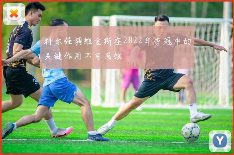 科尔强调维金斯在2022年夺冠中的关键作用不可或缺