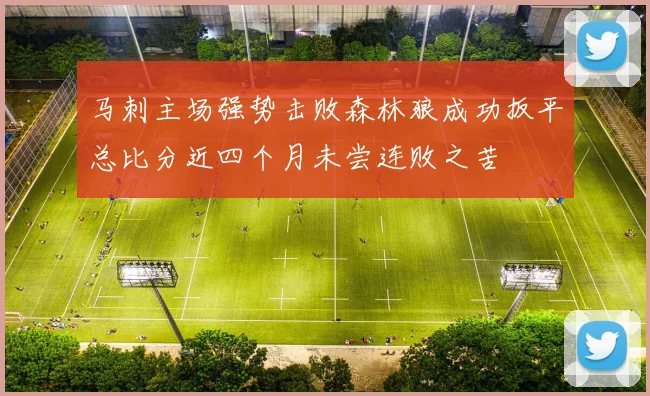 马刺主场强势击败森林狼成功扳平总比分近四个月未尝连败之苦