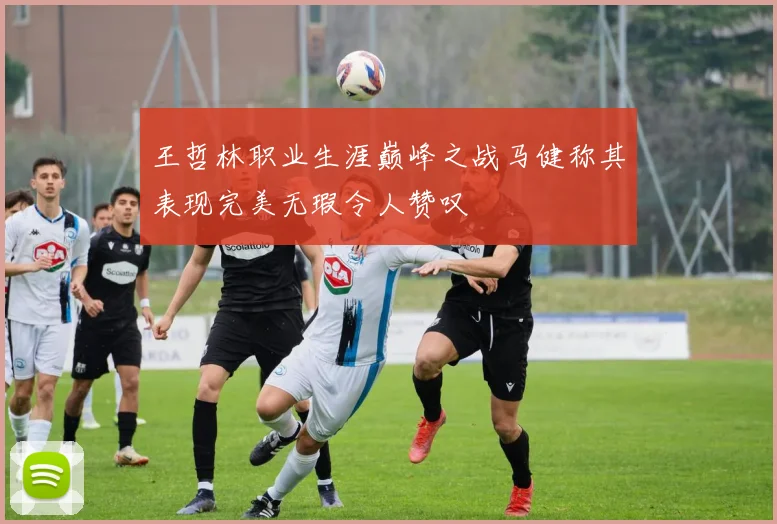 王哲林职业生涯巅峰之战马健称其表现完美无瑕令人赞叹